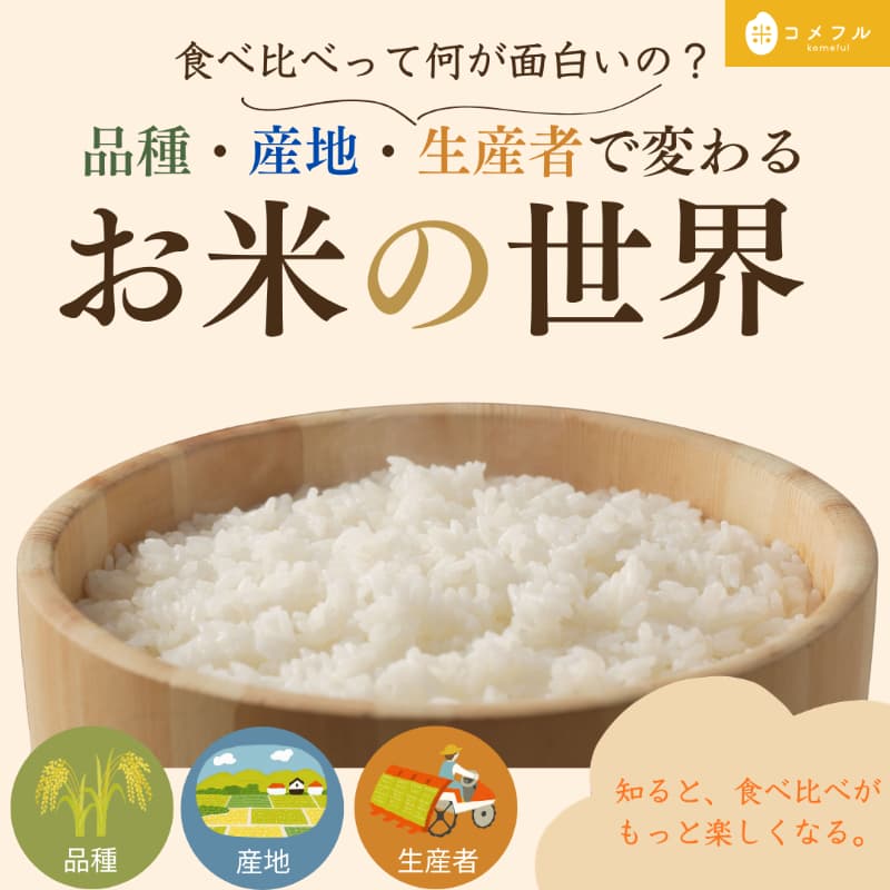 食べ比べって何が面白いの?品種・産地・生産者で変わるお米の世界